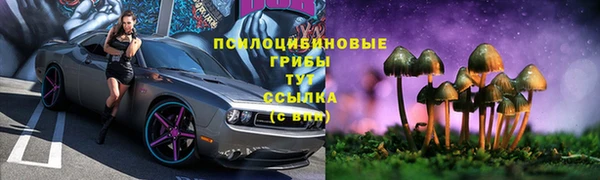 индика Балабаново