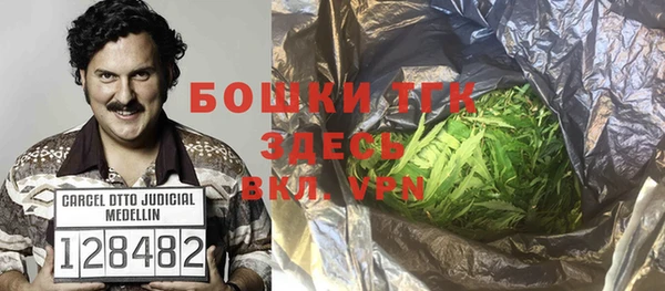 индика Балабаново