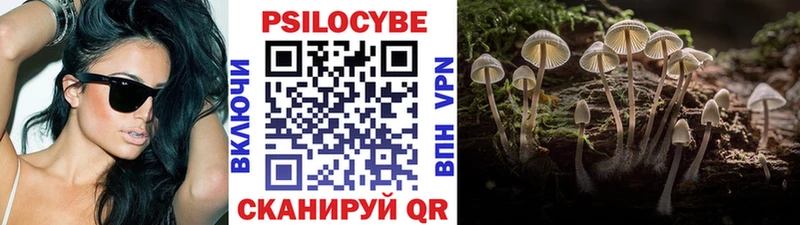 ссылка на мегу рабочий сайт  Вязники  Псилоцибиновые грибы ЛСД  где можно купить наркотик 
