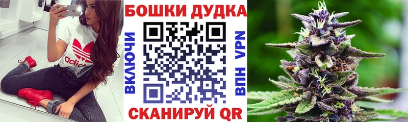 хочу наркоту  Вязники  Бошки марихуана ГИДРОПОН 